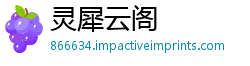 灵犀云阁